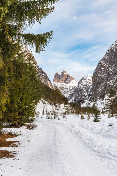 Monte Croce Paysage Hiver Italie — Photo