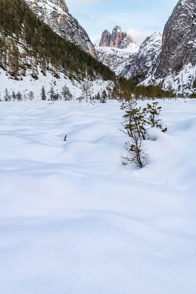 Монте Кроче Зимний Пейзаж Италия — стоковое фото