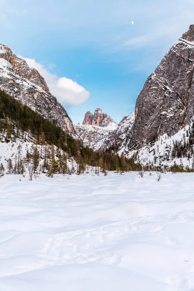 Зимовий Пейзаж Монте Кроче Італія — стокове фото