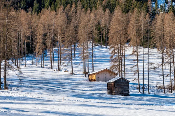 Val Fiscalina Tyrol Sud Paysage Hivernal Montagne Cabanes Bois — Photo