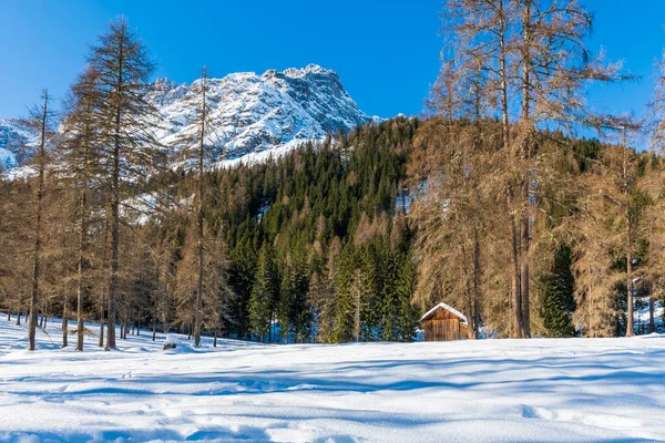 ヴァル フィスカリーナ 南チロル 山の中の冬の季節の風景 スキー場の木造住宅 — ストック写真