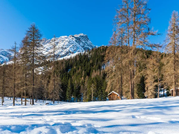 Val Fiscalina Zuid Tirol Winterlandschap Bergen Houten Huis Skigebied — Stockfoto