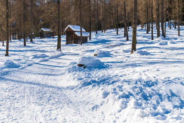 Val Fiscalina Sydtyrol Vinterlandskab Bjerge Træhytter - Stock-foto