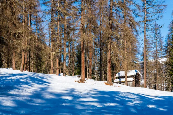 Val Fiscalina Tyrol Sud Paysage Saison Hiver Montagne Maison Bois — Photo