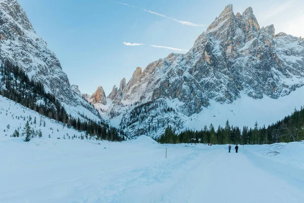 雪の高原の自然景観 セスト イタリア — ストック写真