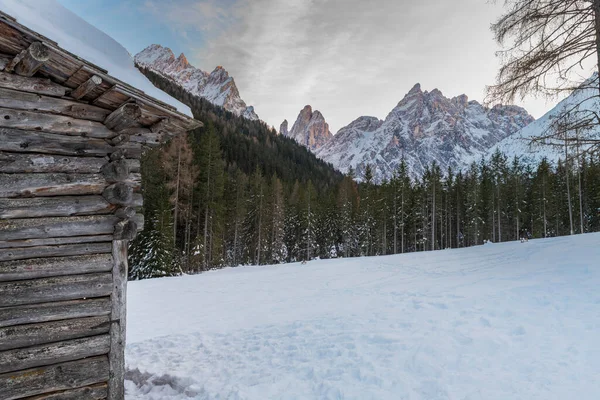 雪の高原の自然景観 セスト イタリア — ストック写真