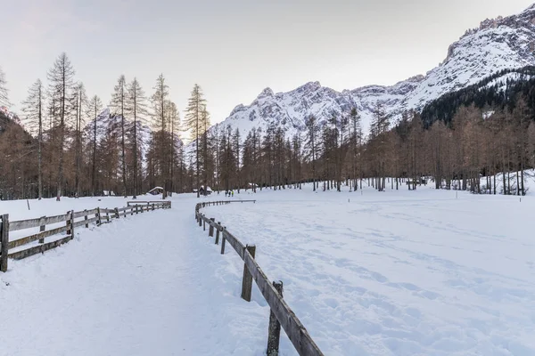 Snowy Highland Nature View Sesto Italia – stockfoto