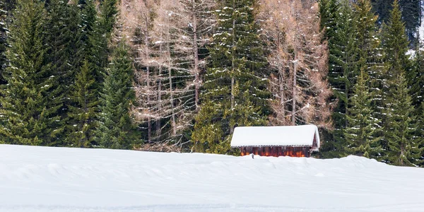 冷凍湖雪に覆われた線 イタリア — ストック写真