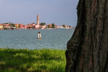Burano Murano şehri, Venedik, İtalya 