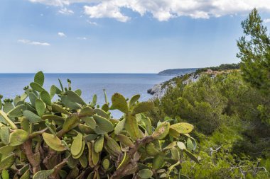 Deniz manzaralı, Corsano, İtalya