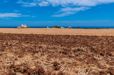 Giovinazzo kasabası yakınlarındaki kırsal alan, İtalya