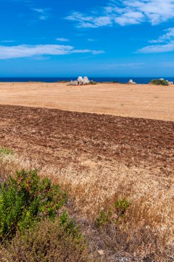 Giovinazzo kasabası yakınlarındaki kırsal alan, İtalya