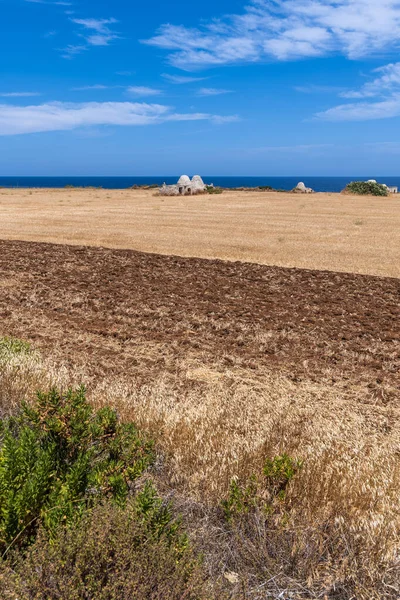 Campo Rural Nas Proximidades Giovinazzo Cidade Itália — Fotografia de Stock