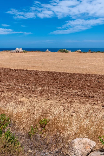 Campo Rural Nas Proximidades Giovinazzo Cidade Itália — Fotografia de Stock