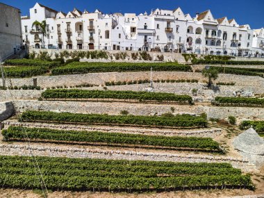 Locorotondo şehir ve arazilerinin havadan çekimi, Bari, İtalya