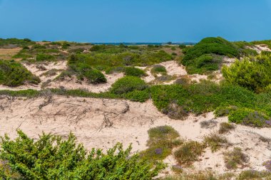 Marina di Lizzano deniz manzarası ve kıyı şeridi, Taranto ili, İtalya