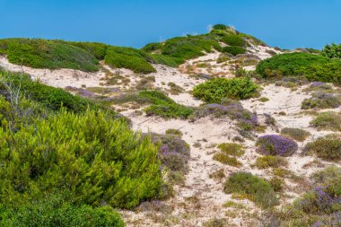 Marina di Lizzano deniz manzarası ve kıyı şeridi, Taranto ili, İtalya