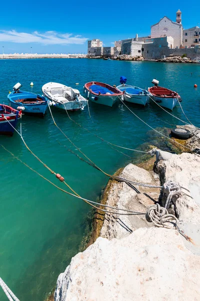 Italiaanse Kleine Havenstad Zee Met Boten Gebouwen — Stockfoto