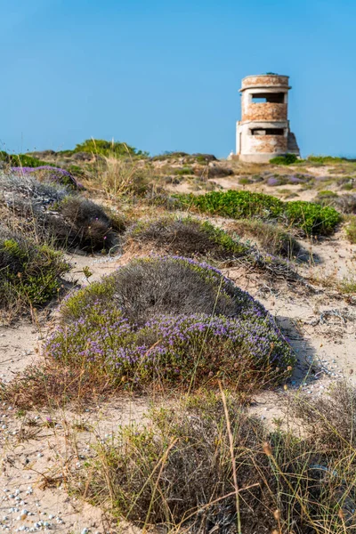 Marina di Lizzano deniz manzarası ve kıyı şeridi, Taranto ili, İtalya