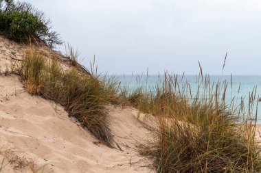 Santa Cesaerea Kumsalı, İtalya