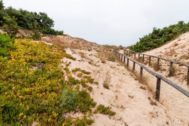 Santa Cesaerea Kumsalı, İtalya