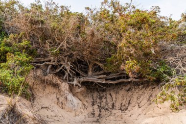 Santa Cesaerea Kumsalı, İtalya
