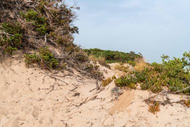 Santa Cesaerea Kumsalı, İtalya