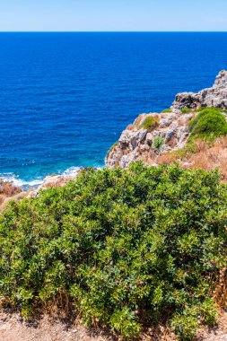 Torre Uluzzo Körfezi ve kıyı şeridi, Salento, İtalya