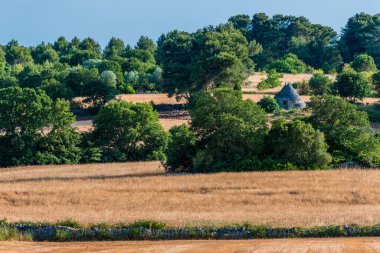 Konik çatıları olan eşsiz Trulli evleri, Alberobello, küçük bir kasaba ve Metropolitan Şehri Bari, Apulia, Güney İtalya, UNESCO Dünya Mirası komünü