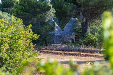Konik çatıları olan eşsiz Trulli evleri, Alberobello, küçük bir kasaba ve Metropolitan Şehri Bari, Apulia, Güney İtalya, UNESCO Dünya Mirası komünü