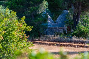 Konik çatıları olan eşsiz Trulli evleri, Alberobello, küçük bir kasaba ve Metropolitan Şehri Bari, Apulia, Güney İtalya, UNESCO Dünya Mirası komünü