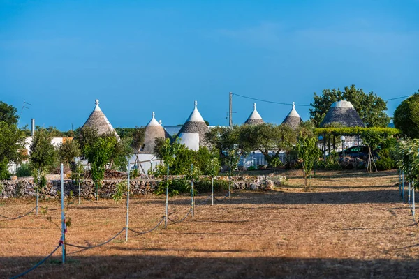 Unique Casas Trulli Con Techos Cónicos Alberobello Pequeña Ciudad Comuna — Foto de Stock