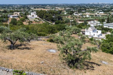 Konik çatıları olan eşsiz Trulli evleri, Alberobello, küçük bir kasaba ve Metropolitan Şehri Bari, Apulia, Güney İtalya, UNESCO Dünya Mirası komünü