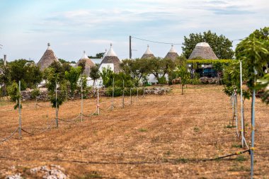 Konik çatıları olan eşsiz Trulli evleri, Alberobello, küçük bir kasaba ve Metropolitan Şehri Bari, Apulia, Güney İtalya, UNESCO Dünya Mirası komünü