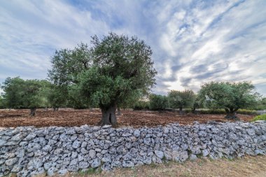 İtalya 'da yaz manzarası manzarası
