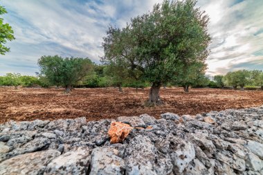 İtalya 'da yaz manzarası manzarası