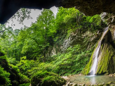 Nehir manzaralı yeşil orman