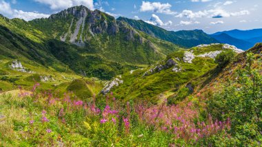 İtalya 'nın Udine eyaletindeki köy ve yeşil dağlık arazi