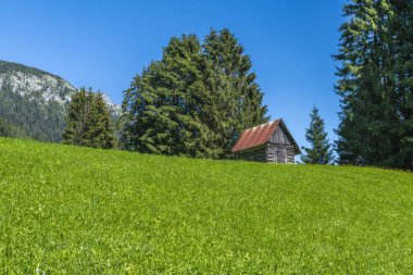 İtalya 'da yaz aylarında Sappada manzarası 