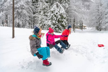 Karlı ormanın gündüz görüntüsü. Kar ve soğuk.