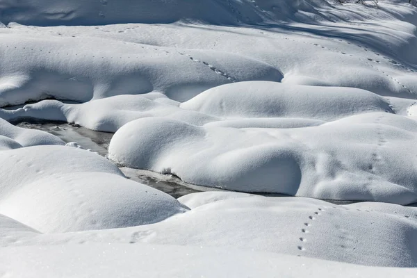 Sappada Άποψη Κατά Διάρκεια Του Χειμώνα Ιταλία — Φωτογραφία Αρχείου