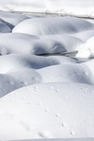 Sappada Vista Durante Inverno Itália — Fotografia de Stock