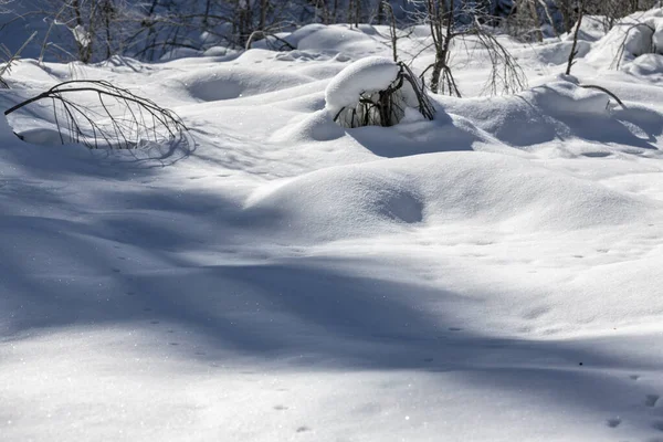 Sappada Vista Durante Inverno Itália — Fotografia de Stock