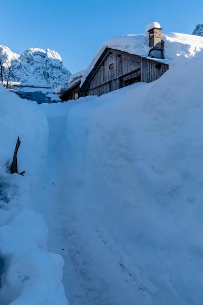 Sappada Vue Hiver Italie — Photo