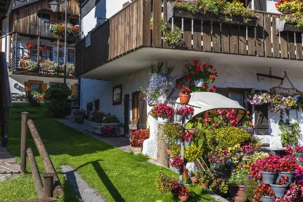 İtalya 'da yaz aylarında Sappada manzarası 