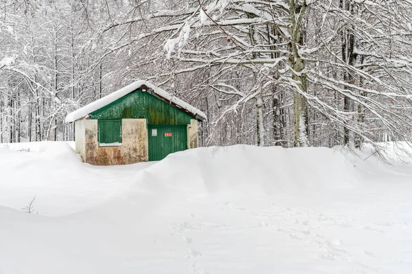 Verschneiter Wald Schöne Winter Natur Szene — Stockfoto