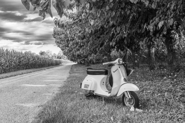 Moped Zwischen Grünen Bäumen — Stockfoto