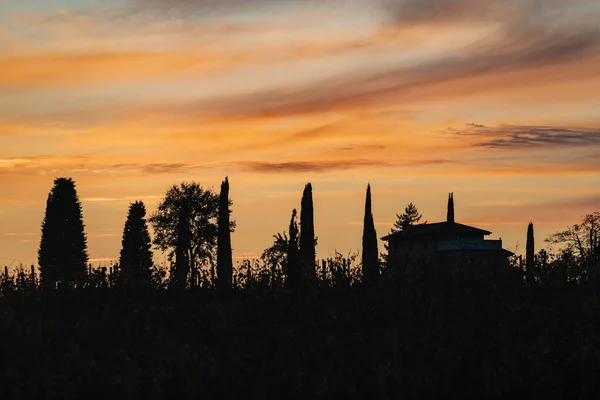 Colline Spessa Vista Durante Autunno Italia — Foto Stock