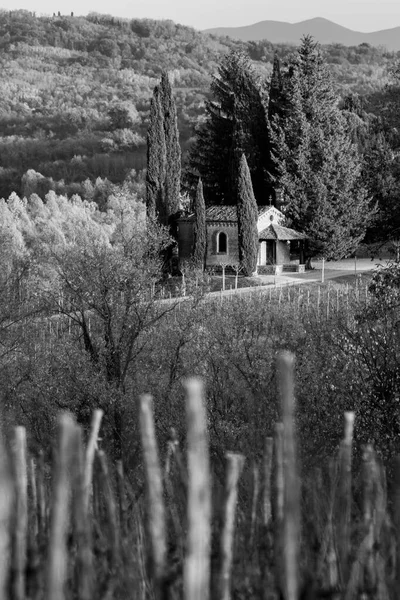 Fotografia Bianco Nero Campagna Italiana Paesaggio Rurale Colline Spessa Vigneto — Foto Stock