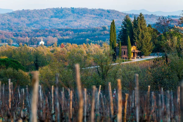 Italienische Landschaft Ländliche Landschaft Weinberg Colline Spessa Anpflanzung Von Weinreben — Stockfoto